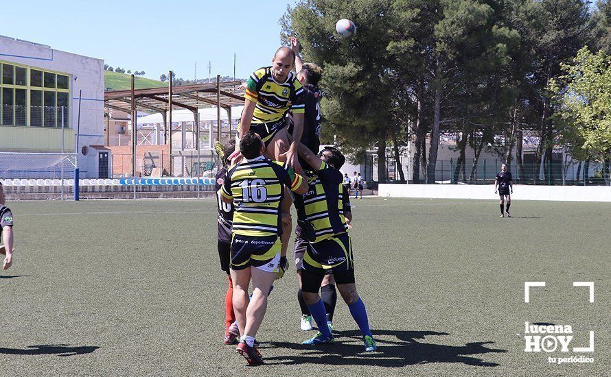 GALERÍA Y CRÓNICA: Más de cien jugadores de rugby de Córdoba, Sevilla, Granada y Ciudad Real se dan cita en Lucena