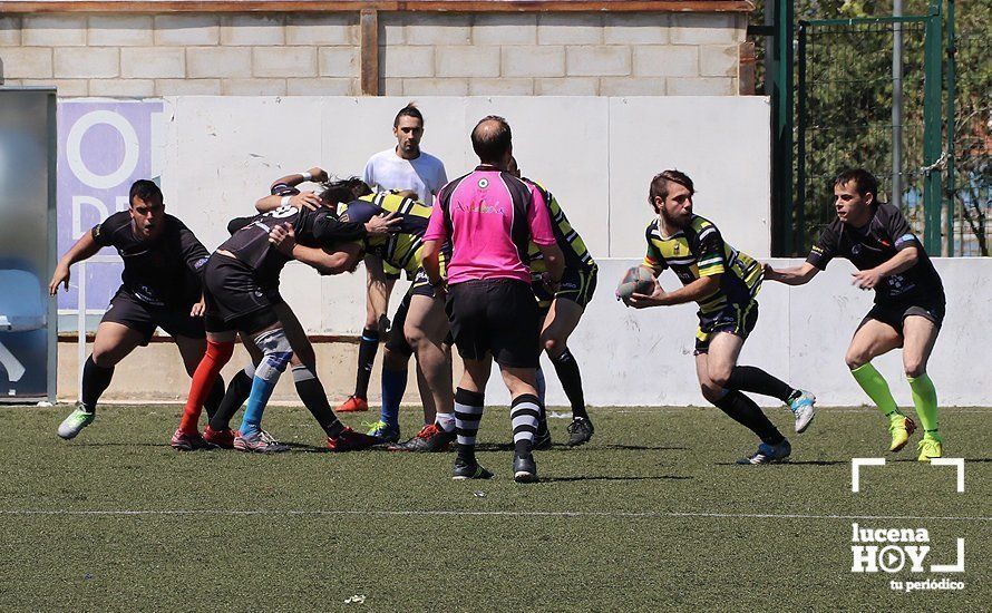 GALERÍA Y CRÓNICA: Más de cien jugadores de rugby de Córdoba, Sevilla, Granada y Ciudad Real se dan cita en Lucena