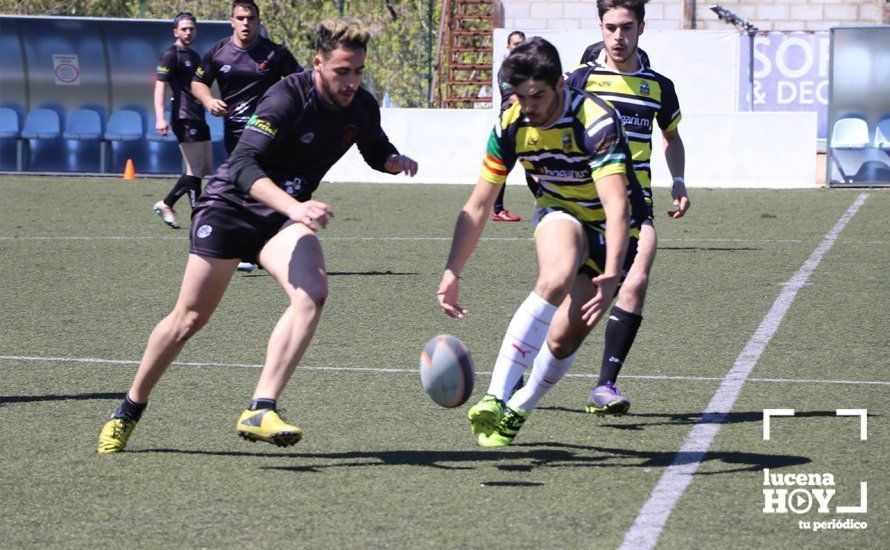 GALERÍA Y CRÓNICA: Más de cien jugadores de rugby de Córdoba, Sevilla, Granada y Ciudad Real se dan cita en Lucena