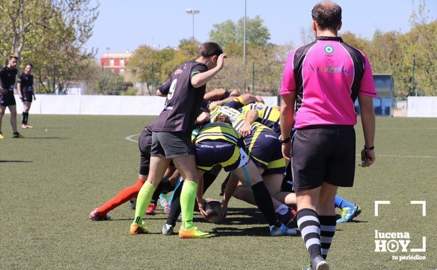 GALERÍA Y CRÓNICA: Más de cien jugadores de rugby de Córdoba, Sevilla, Granada y Ciudad Real se dan cita en Lucena