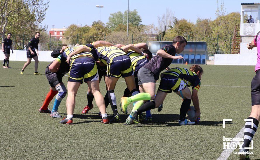 GALERÍA Y CRÓNICA: Más de cien jugadores de rugby de Córdoba, Sevilla, Granada y Ciudad Real se dan cita en Lucena