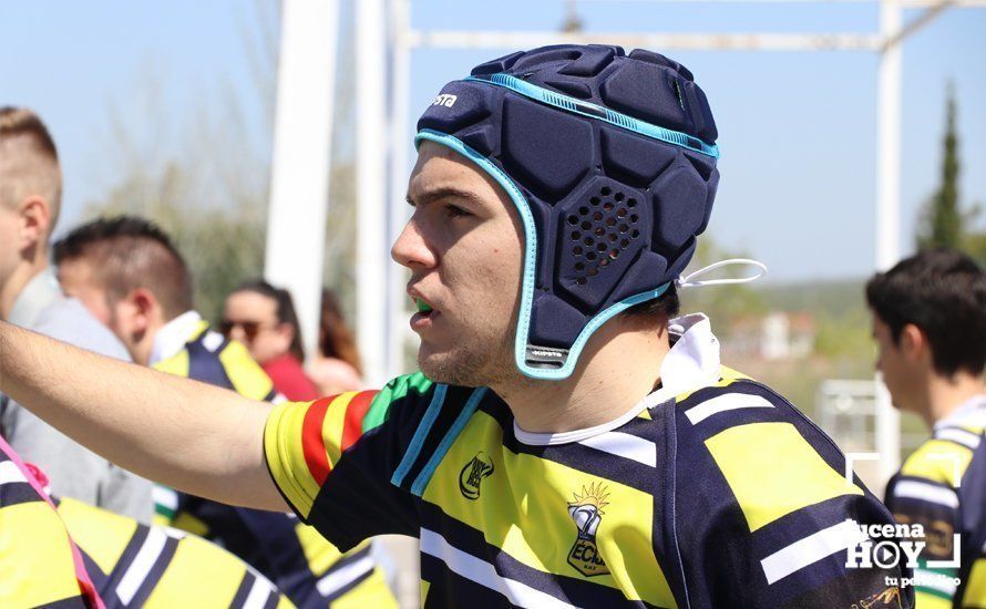 GALERÍA Y CRÓNICA: Más de cien jugadores de rugby de Córdoba, Sevilla, Granada y Ciudad Real se dan cita en Lucena