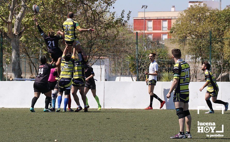 GALERÍA Y CRÓNICA: Más de cien jugadores de rugby de Córdoba, Sevilla, Granada y Ciudad Real se dan cita en Lucena