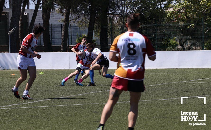 GALERÍA Y CRÓNICA: Más de cien jugadores de rugby de Córdoba, Sevilla, Granada y Ciudad Real se dan cita en Lucena