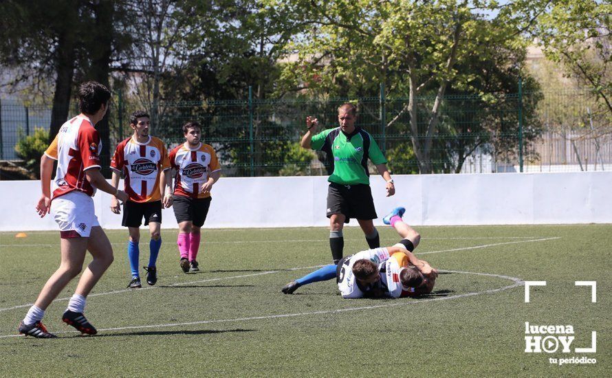 GALERÍA Y CRÓNICA: Más de cien jugadores de rugby de Córdoba, Sevilla, Granada y Ciudad Real se dan cita en Lucena