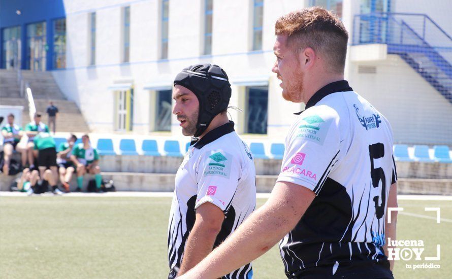 GALERÍA Y CRÓNICA: Más de cien jugadores de rugby de Córdoba, Sevilla, Granada y Ciudad Real se dan cita en Lucena GALERÍA Y CRÓNICA: Más de cien jugadores de rugby de Córdoba, Sevilla, Granada y Ciudad Real se dan cita en Lucena