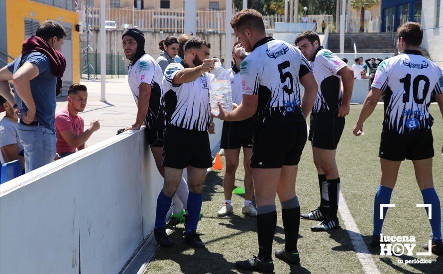 GALERÍA Y CRÓNICA: Más de cien jugadores de rugby de Córdoba, Sevilla, Granada y Ciudad Real se dan cita en Lucena