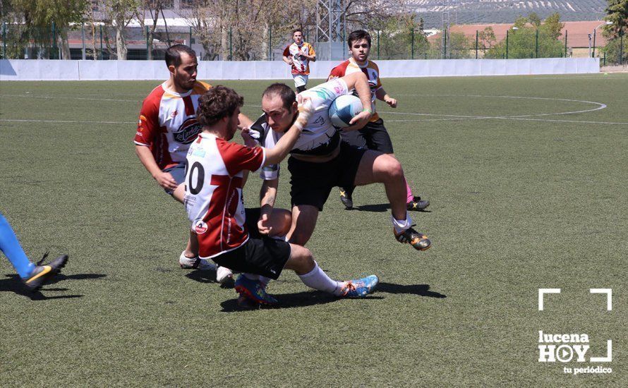 GALERÍA Y CRÓNICA: Más de cien jugadores de rugby de Córdoba, Sevilla, Granada y Ciudad Real se dan cita en Lucena