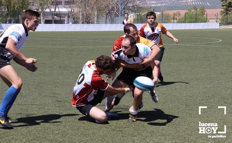 GALERÍA Y CRÓNICA: Más de cien jugadores de rugby de Córdoba, Sevilla, Granada y Ciudad Real se dan cita en Lucena