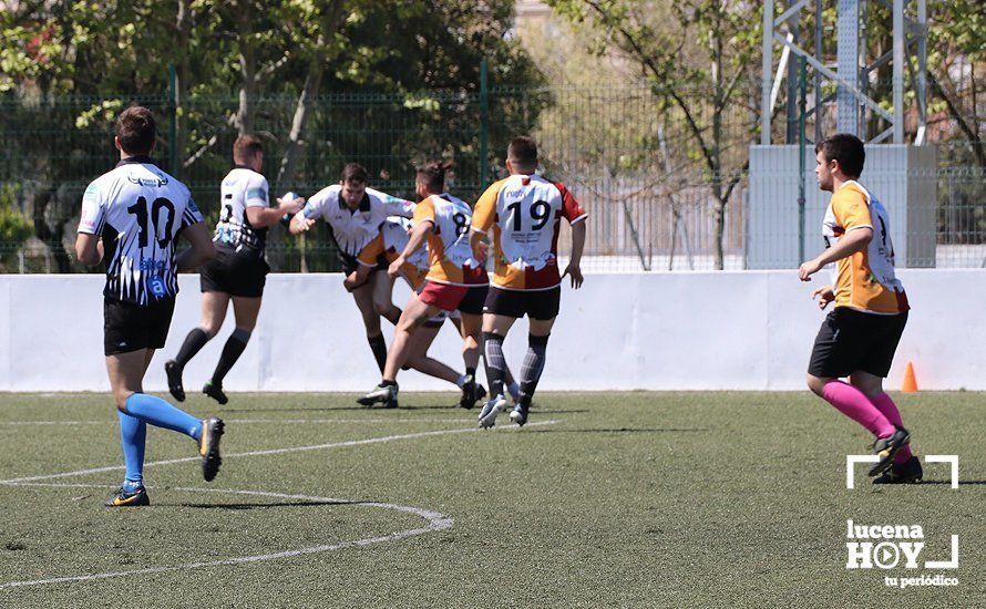 GALERÍA Y CRÓNICA: Más de cien jugadores de rugby de Córdoba, Sevilla, Granada y Ciudad Real se dan cita en Lucena