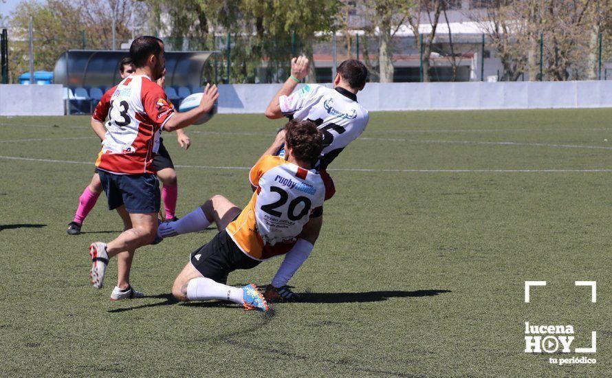 GALERÍA Y CRÓNICA: Más de cien jugadores de rugby de Córdoba, Sevilla, Granada y Ciudad Real se dan cita en Lucena