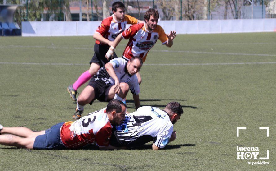 GALERÍA Y CRÓNICA: Más de cien jugadores de rugby de Córdoba, Sevilla, Granada y Ciudad Real se dan cita en Lucena