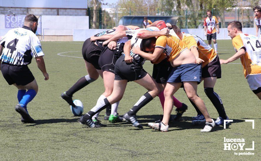 GALERÍA Y CRÓNICA: Más de cien jugadores de rugby de Córdoba, Sevilla, Granada y Ciudad Real se dan cita en Lucena