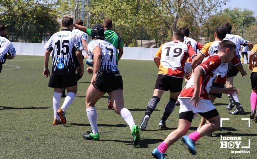 GALERÍA Y CRÓNICA: Más de cien jugadores de rugby de Córdoba, Sevilla, Granada y Ciudad Real se dan cita en Lucena