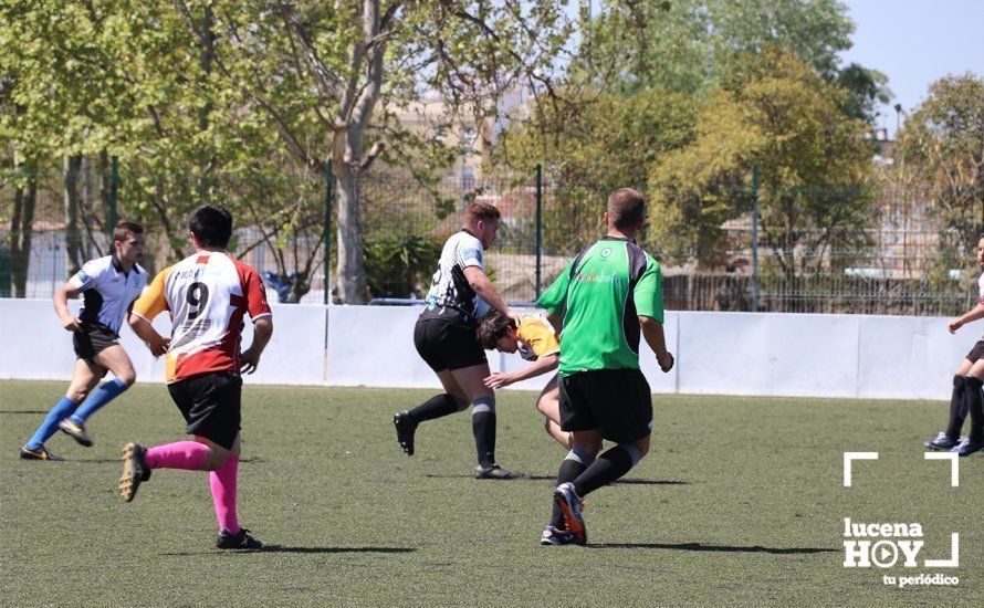 GALERÍA Y CRÓNICA: Más de cien jugadores de rugby de Córdoba, Sevilla, Granada y Ciudad Real se dan cita en Lucena GALERÍA Y CRÓNICA: Más de cien jugadores de rugby de Córdoba, Sevilla, Granada y Ciudad Real se dan cita en Lucena