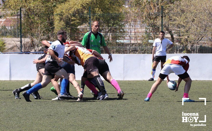 GALERÍA Y CRÓNICA: Más de cien jugadores de rugby de Córdoba, Sevilla, Granada y Ciudad Real se dan cita en Lucena