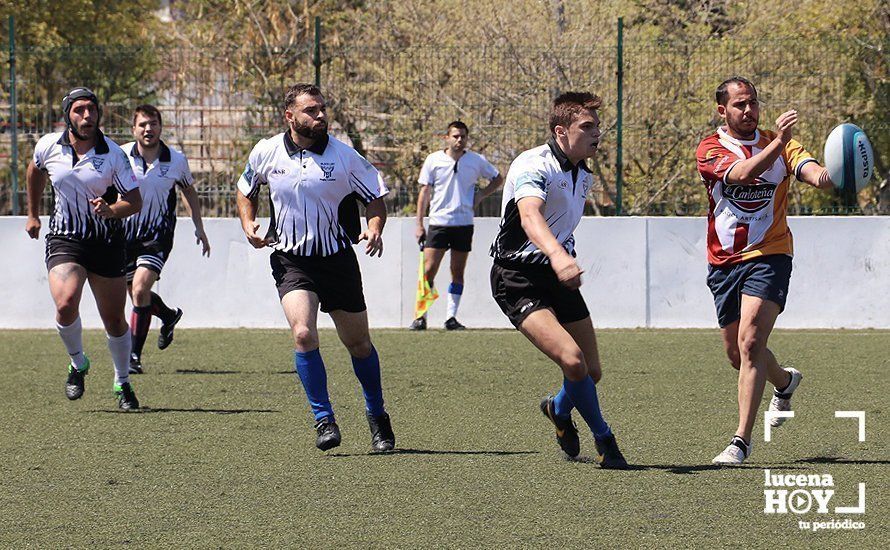 GALERÍA Y CRÓNICA: Más de cien jugadores de rugby de Córdoba, Sevilla, Granada y Ciudad Real se dan cita en Lucena