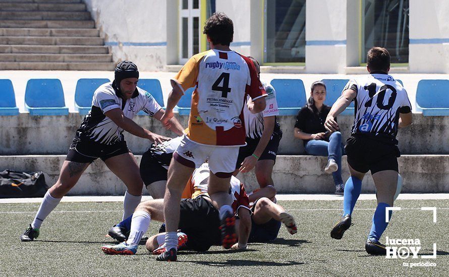 GALERÍA Y CRÓNICA: Más de cien jugadores de rugby de Córdoba, Sevilla, Granada y Ciudad Real se dan cita en Lucena