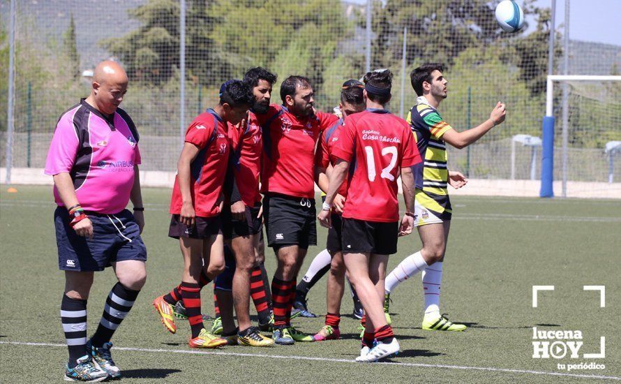 GALERÍA Y CRÓNICA: Más de cien jugadores de rugby de Córdoba, Sevilla, Granada y Ciudad Real se dan cita en Lucena