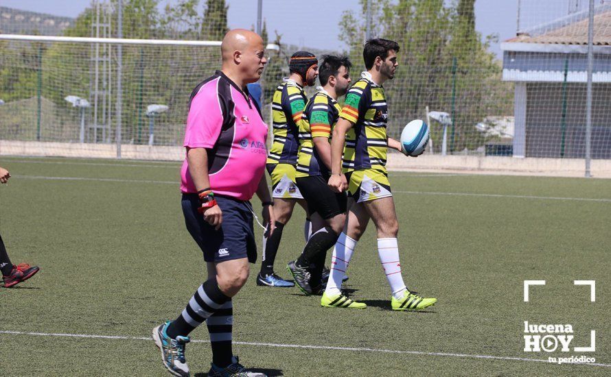 GALERÍA Y CRÓNICA: Más de cien jugadores de rugby de Córdoba, Sevilla, Granada y Ciudad Real se dan cita en Lucena