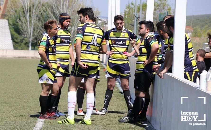 GALERÍA Y CRÓNICA: Más de cien jugadores de rugby de Córdoba, Sevilla, Granada y Ciudad Real se dan cita en Lucena