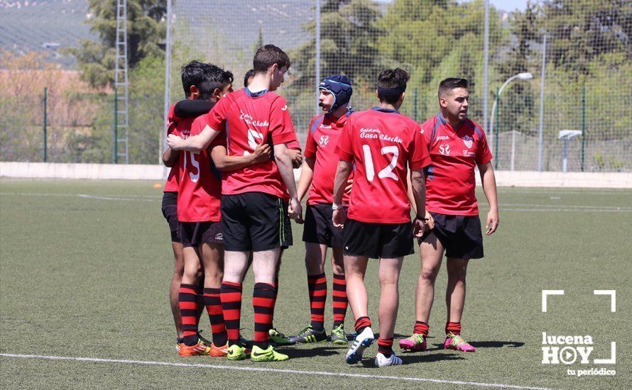 GALERÍA Y CRÓNICA: Más de cien jugadores de rugby de Córdoba, Sevilla, Granada y Ciudad Real se dan cita en Lucena