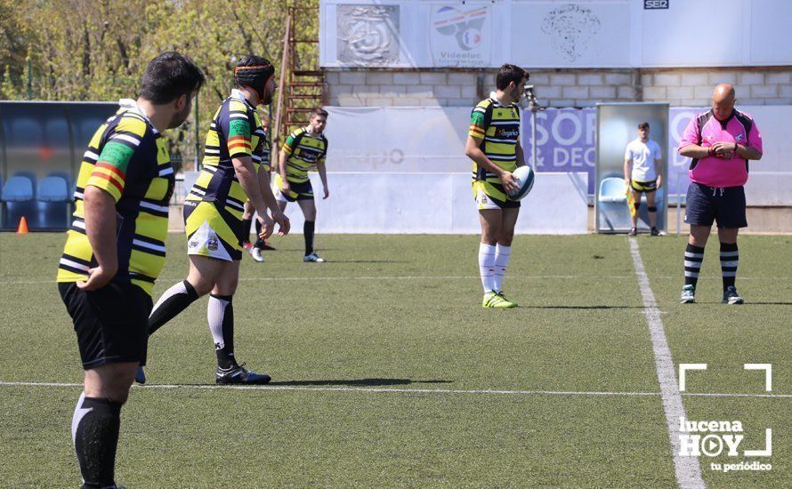 GALERÍA Y CRÓNICA: Más de cien jugadores de rugby de Córdoba, Sevilla, Granada y Ciudad Real se dan cita en Lucena