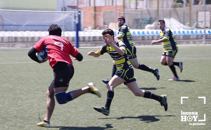 GALERÍA Y CRÓNICA: Más de cien jugadores de rugby de Córdoba, Sevilla, Granada y Ciudad Real se dan cita en Lucena