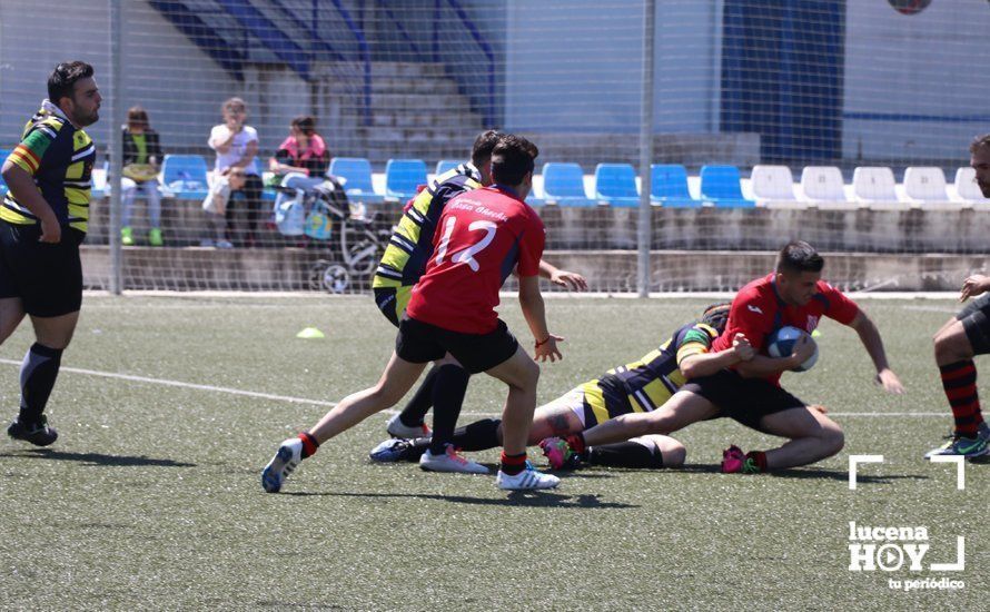 GALERÍA Y CRÓNICA: Más de cien jugadores de rugby de Córdoba, Sevilla, Granada y Ciudad Real se dan cita en Lucena