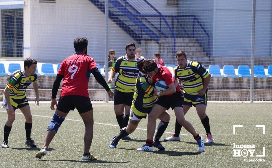 GALERÍA Y CRÓNICA: Más de cien jugadores de rugby de Córdoba, Sevilla, Granada y Ciudad Real se dan cita en Lucena