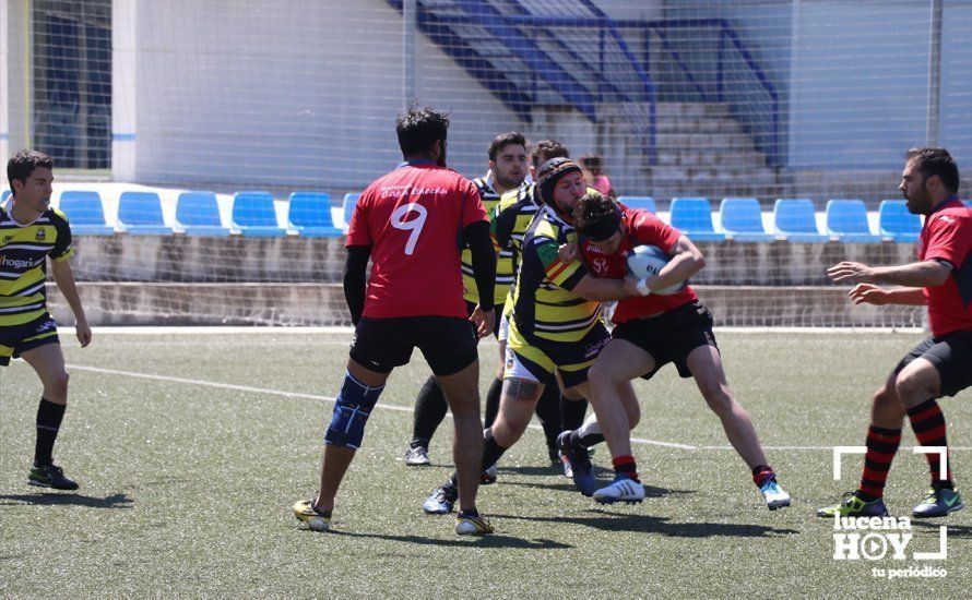 GALERÍA Y CRÓNICA: Más de cien jugadores de rugby de Córdoba, Sevilla, Granada y Ciudad Real se dan cita en Lucena