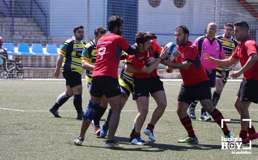 GALERÍA Y CRÓNICA: Más de cien jugadores de rugby de Córdoba, Sevilla, Granada y Ciudad Real se dan cita en Lucena