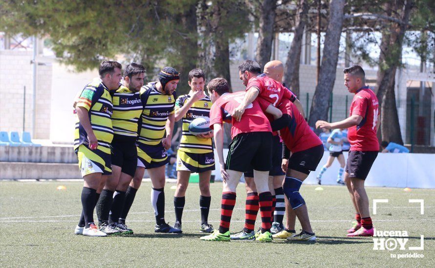 GALERÍA Y CRÓNICA: Más de cien jugadores de rugby de Córdoba, Sevilla, Granada y Ciudad Real se dan cita en Lucena GALERÍA Y CRÓNICA: Más de cien jugadores de rugby de Córdoba, Sevilla, Granada y Ciudad Real se dan cita en Lucena