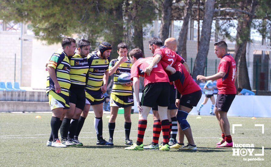 GALERÍA Y CRÓNICA: Más de cien jugadores de rugby de Córdoba, Sevilla, Granada y Ciudad Real se dan cita en Lucena