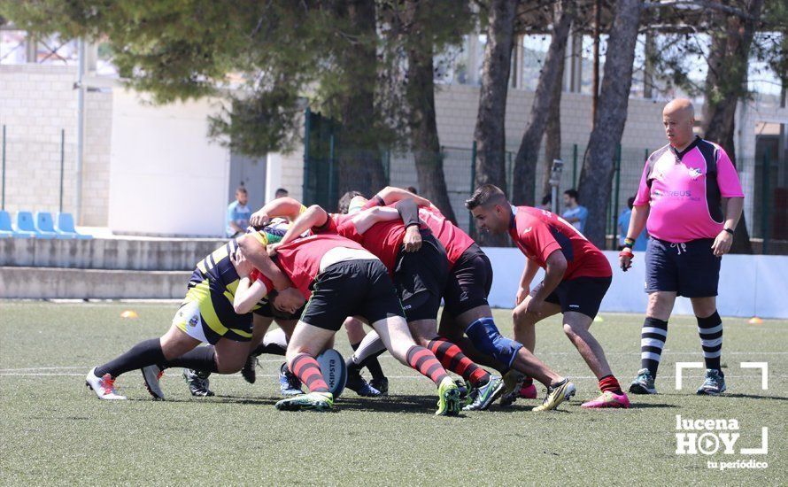 GALERÍA Y CRÓNICA: Más de cien jugadores de rugby de Córdoba, Sevilla, Granada y Ciudad Real se dan cita en Lucena