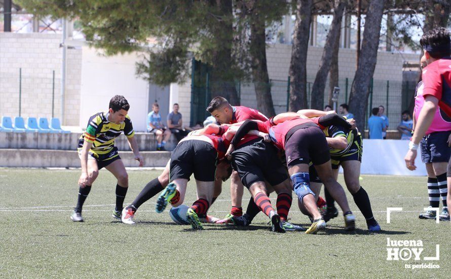 GALERÍA Y CRÓNICA: Más de cien jugadores de rugby de Córdoba, Sevilla, Granada y Ciudad Real se dan cita en Lucena