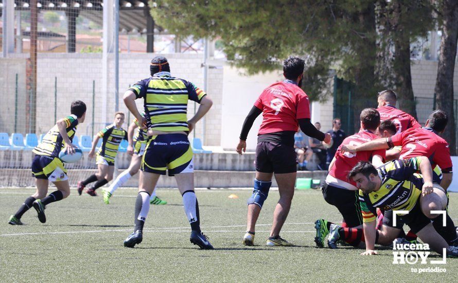 GALERÍA Y CRÓNICA: Más de cien jugadores de rugby de Córdoba, Sevilla, Granada y Ciudad Real se dan cita en Lucena