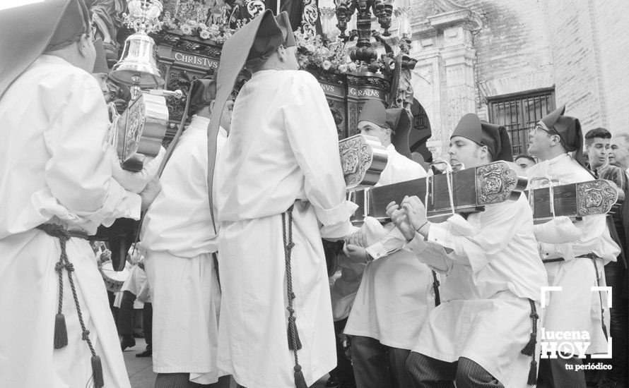 GALERÍA: Domingo de Ramos: Oración en el Huerto