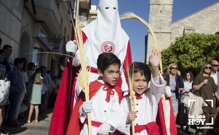 GALERÍA: Domingo de Ramos: La pollinita GALERÍA: Domingo de Ramos: La pollinita