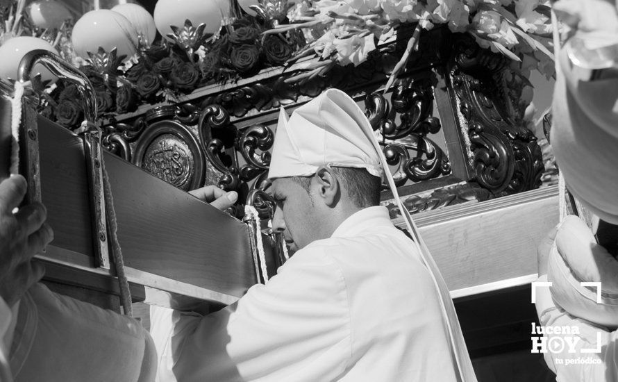 GALERÍA: Domingo de Ramos: La pollinita