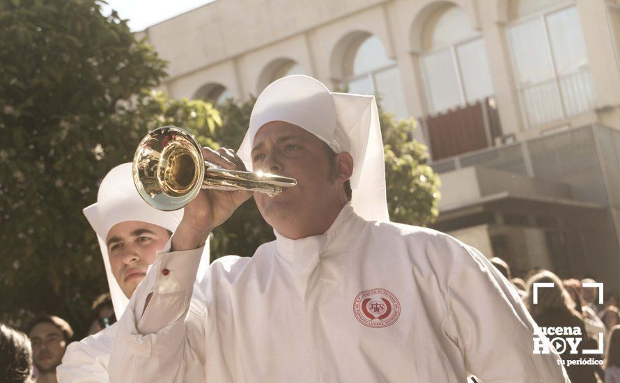 GALERÍA: Domingo de Ramos: La pollinita GALERÍA: Domingo de Ramos: La pollinita