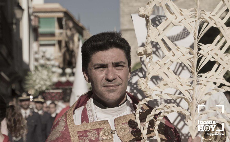 GALERÍA: Domingo de Ramos: La pollinita GALERÍA: Domingo de Ramos: La pollinita