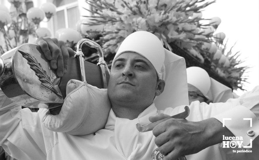 GALERÍA: Domingo de Ramos: La pollinita GALERÍA: Domingo de Ramos: La pollinita