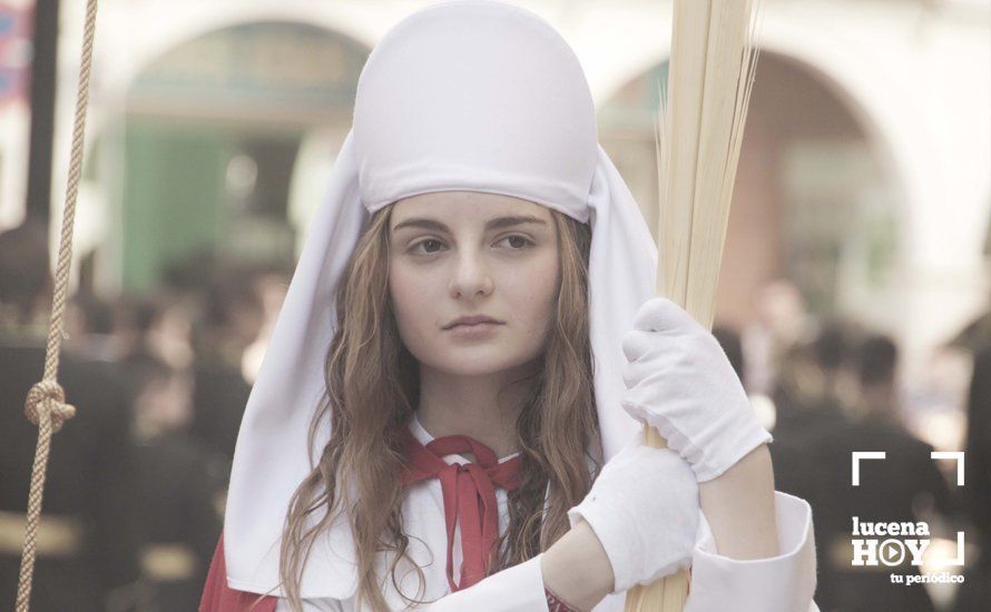 GALERÍA: Domingo de Ramos: La pollinita GALERÍA: Domingo de Ramos: La pollinita