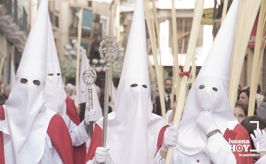 GALERÍA: Domingo de Ramos: La pollinita