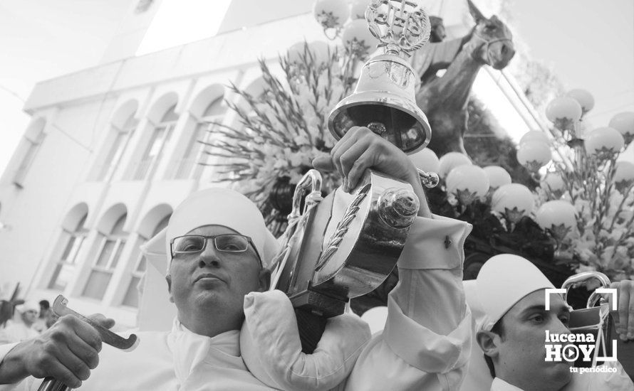 GALERÍA: Domingo de Ramos: La pollinita GALERÍA: Domingo de Ramos: La pollinita