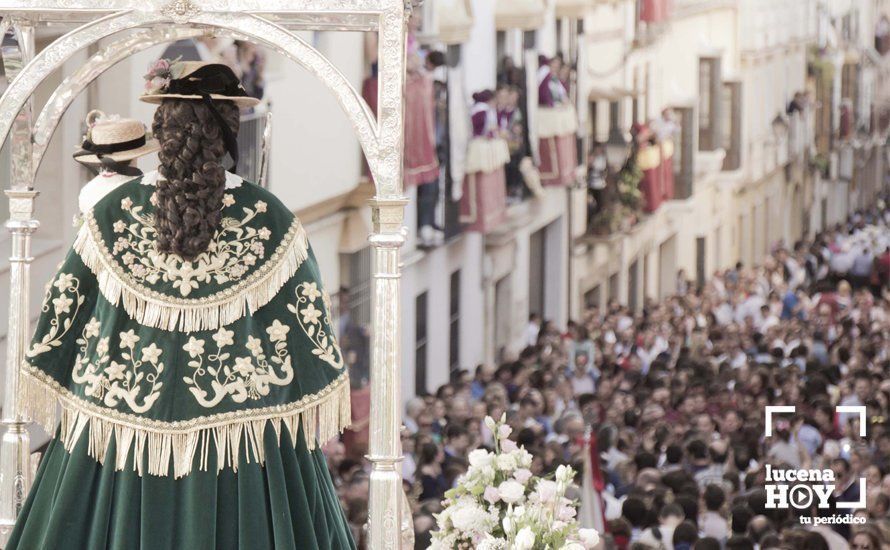 Galería 1: Las fotos de la Romería de Bajada por las calles de Lucena