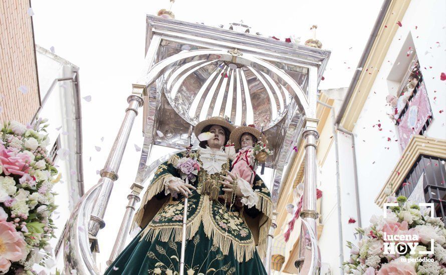 Galería 1: Las fotos de la Romería de Bajada por las calles de Lucena