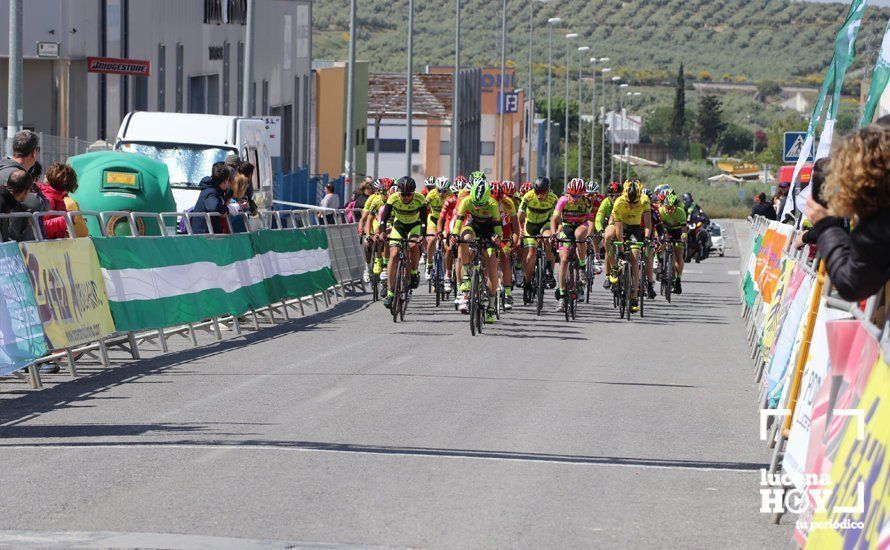 GALERÍA: El polígono de Pilar de la Dehesa acogió el III Trofeo José Mª Sánchez Raya de ciclismo base, con mas de 130 corredores andaluces