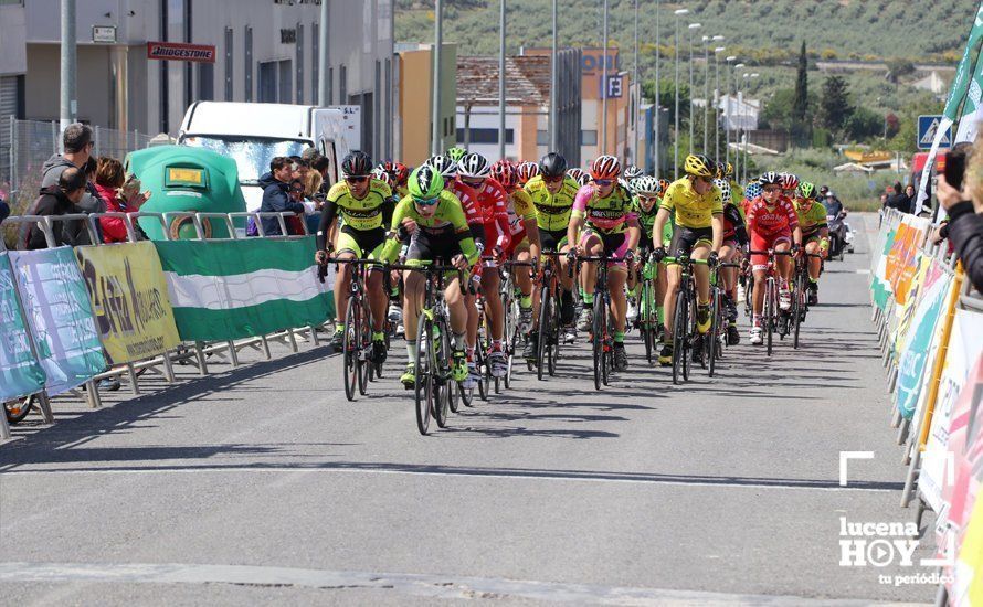 GALERÍA: El polígono de Pilar de la Dehesa acogió el III Trofeo José Mª Sánchez Raya de ciclismo base, con mas de 130 corredores andaluces